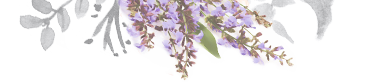 flowers_top-3